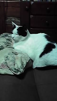 10-01-11_001.jpg